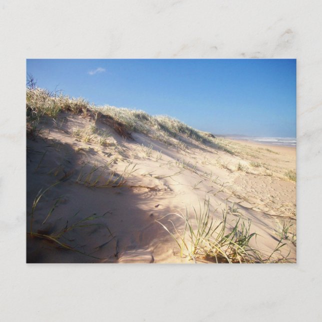 Sanddüne Postkarte (Vorderseite)