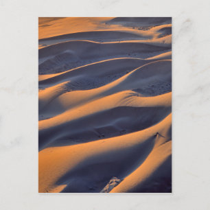 Sanddünen-Abstrakt Postkarte