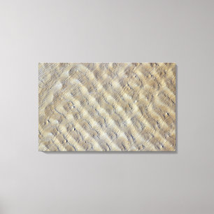 Sanddünen im Fachi-Bilma Erg Leinwanddruck