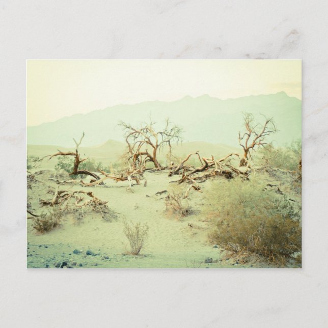 Sanddünen im Todestal Postkarte (Vorderseite)