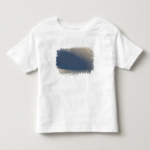 Sanddünen im White Sands National Monument in 4 Kleinkind T-shirt