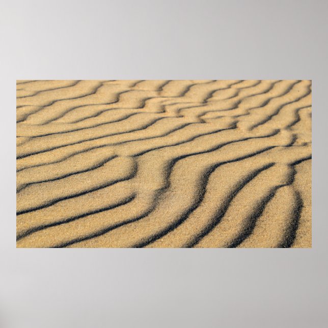 Sanddünen mit Sandstrand Poster (Vorne)