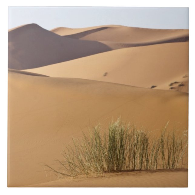 Sanddünen, Sahara-Wüste, Marokko Fliese (Vorderseite)