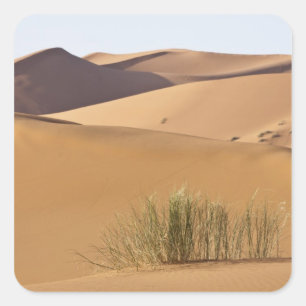 Sanddünen, Sahara-Wüste, Marokko Quadratischer Aufkleber