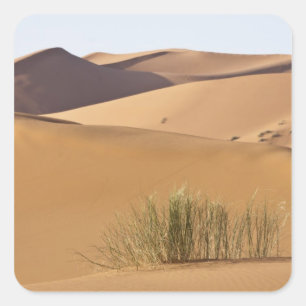 Sanddünen, Sahara-Wüste, Marokko Quadratischer Aufkleber