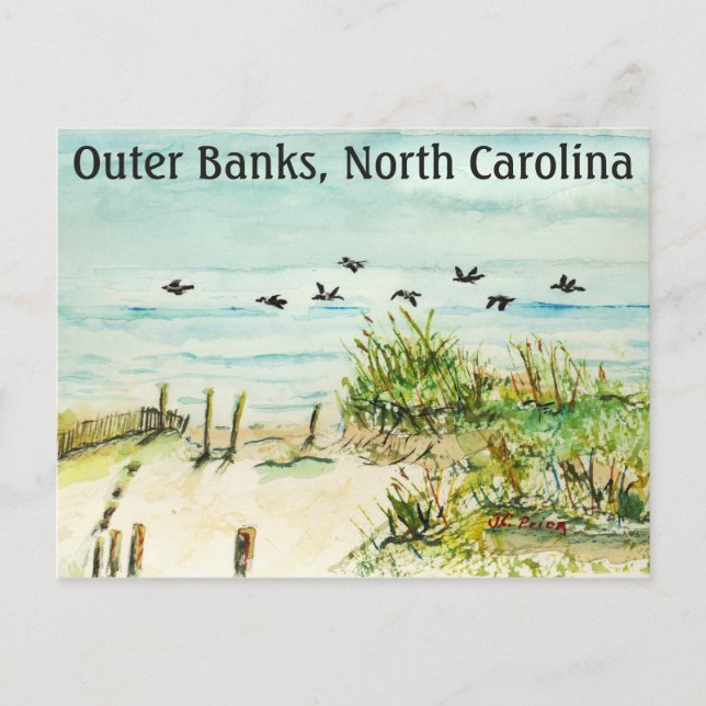 Sanddünen und Seagulls Außenbanks North Carolina Postkarte (Vorderseite)