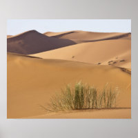 Sanddünen, Wüste Sahara, Marokko