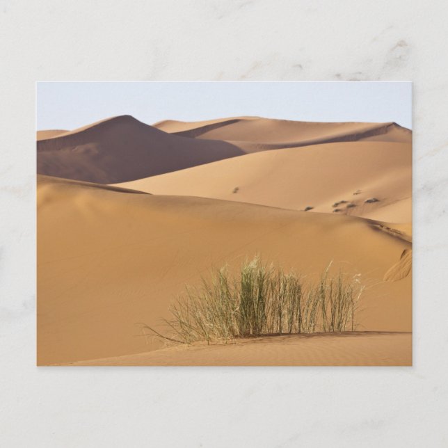 Sanddünen, Wüste Sahara, Marokko Postkarte (Vorderseite)