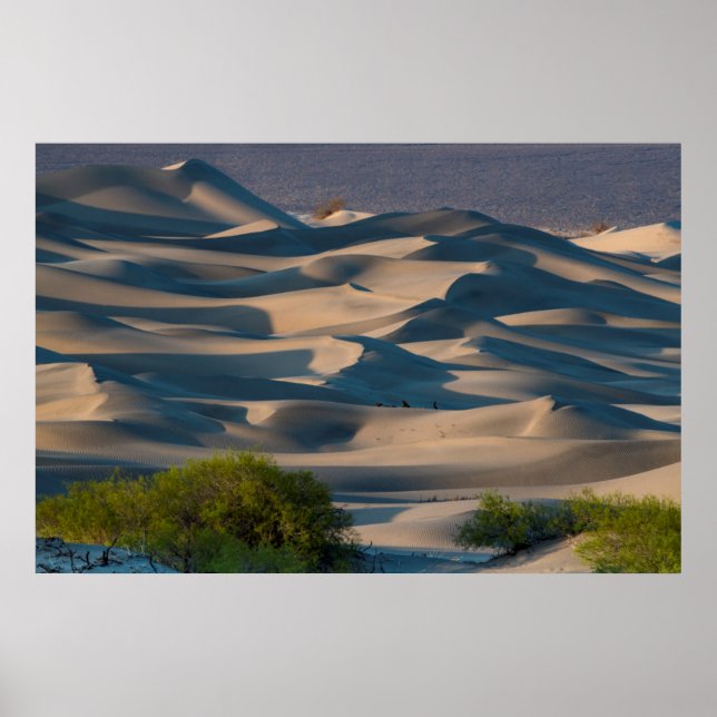 Sanddünenlandschaft, Kalifornien Poster (Vorne)