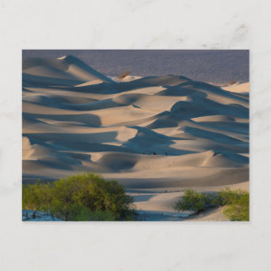 Sanddünenlandschaft, Kalifornien Postkarte