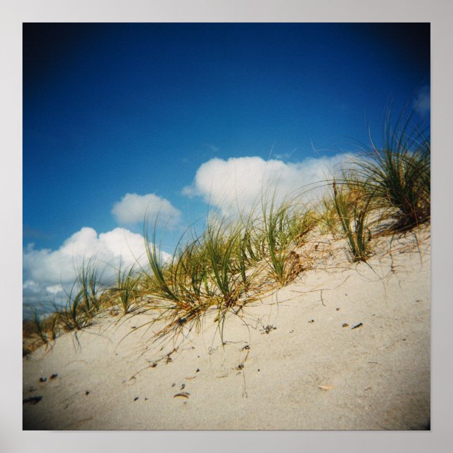 Sanddünenprint Poster (Vorne)