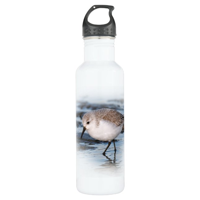 Sanderling auf einem Winterstrand Edelstahlflasche (Vorderseite)