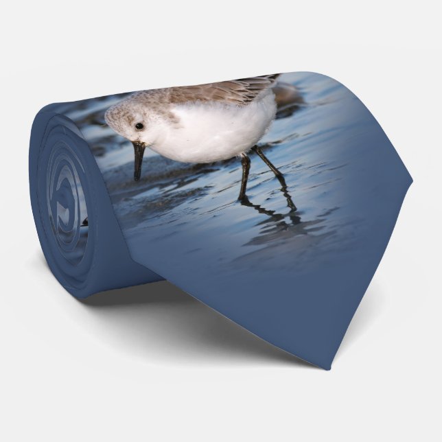 Sanderling auf einem Winterstrand Krawatte (Gerollt)