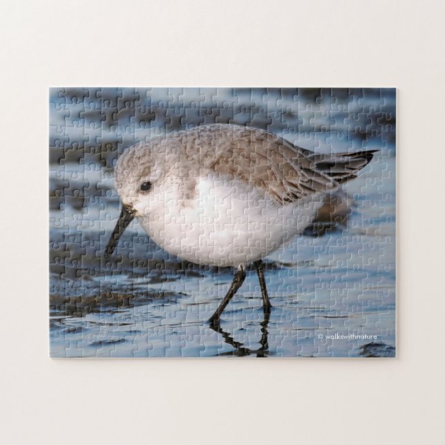 Sanderling auf einem Winterstrand Puzzle (Horizontal)