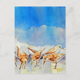 Sanderling Shuffle Postcard WatercolorBeach Memory Postkarte