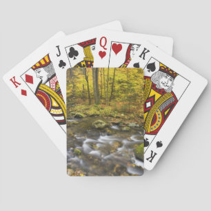 Sanderson Brook. Chester-Blanford Staat Forest. Spielkarten