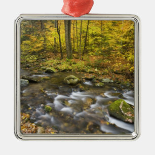 Sanderson Brook. Chester-Blanford State Forest. Silbernes Ornament