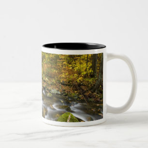 Sanderson Brook. Chester-Blanford State Forest. Zweifarbige Tasse