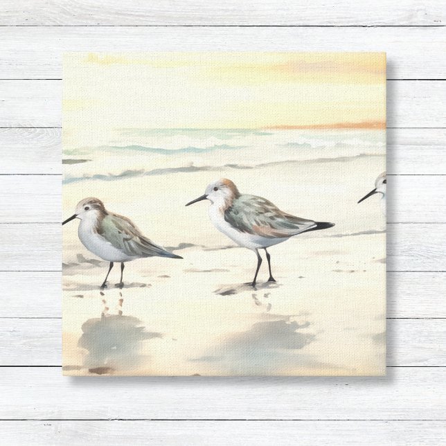 Sandfänger am Strand Leinwanddruck (Minimalist Sandpipers on Beach Coastal Beach Wall Art Canvas)