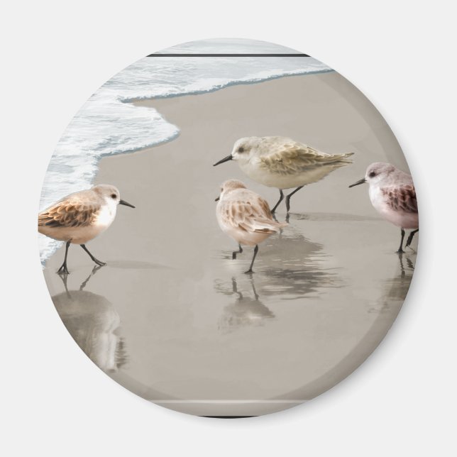 Sandfänger an der Küste Magnet (Vorne)