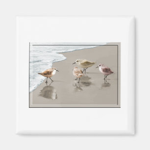 Sandfänger an der Küste Magnet