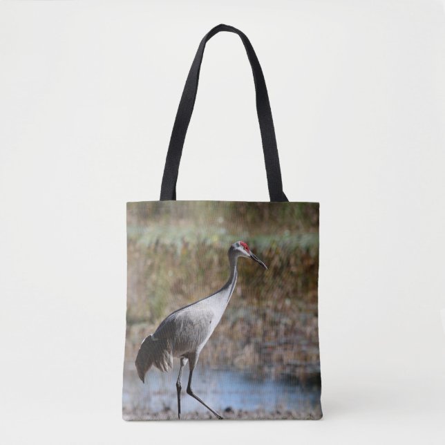 Sandhill Crane (Vorderseite)