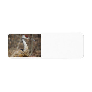 Sandhill Crane-Adresseetiketten