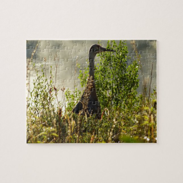 Sandhill Crane bei Moose Ponds in Grand Teton Puzzle (Horizontal)