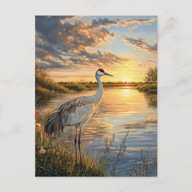 Sandhill Crane bei Sunset Postkarte (Vorderseite)