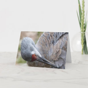 Sandhill Crane Blank Note Card Karte