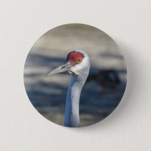 Sandhill Crane Button