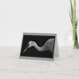 Sandhill Crane Card Karte