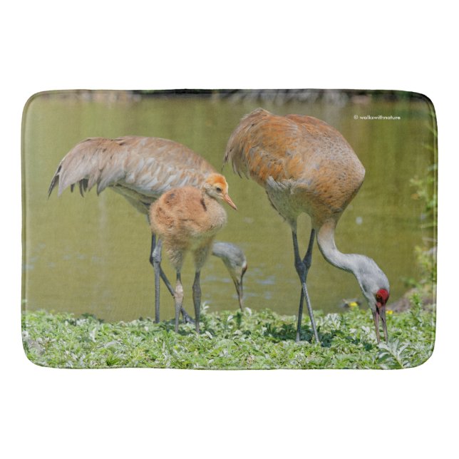Sandhill Crane Eltern und Küken Badematte (Vorderseite)