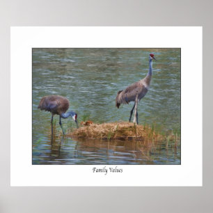 Sandhill Crane "Family Values" Print Poster