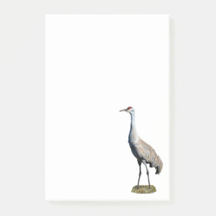 Sandhill Crane Foto 4x6 Hinweise Post-it Klebezettel