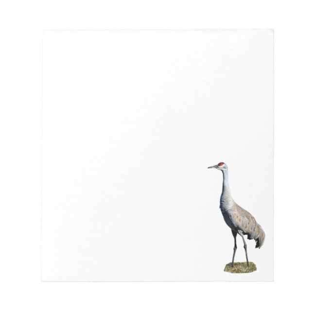 Sandhill Crane Foto Notepad Notizblock (Vorderseite)