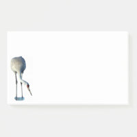 Sandhill Crane Foto Stationery 10x6 Hinweise