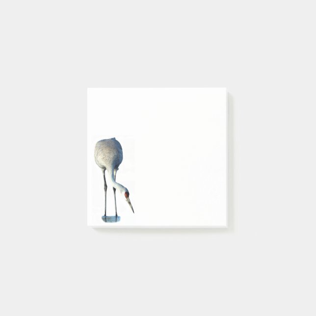Sandhill Crane Foto Stationery 3x3 Postit Notes Post-it Klebezettel (Vorderseite)