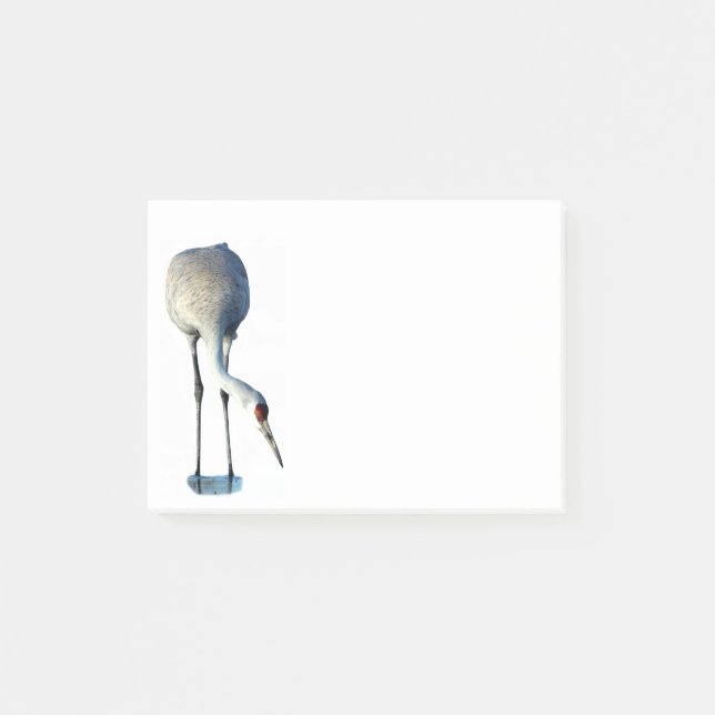 Sandhill Crane Foto Stationery 4x3 Postit Notes Post-it Klebezettel (Vorderseite)