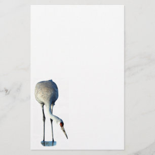 Sandhill Crane Foto Stationery Paper Briefpapier