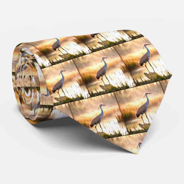 Sandhill Crane in einem Sumpf Krawatte (Gerollt)