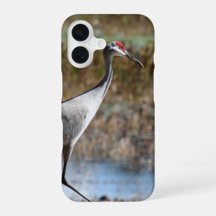 Sandhill Crane iPhone 16 Hülle