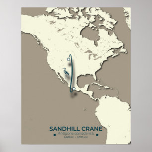 Sandhill Crane Migration Map - Minimalistisch Vint Poster