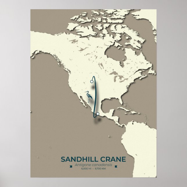 Sandhill Crane Migration Map - Minimalistisch Vint Poster (Vorne)