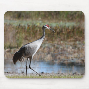 Sandhill Crane Mousepad