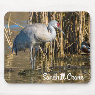Sandhill Crane Mousepad