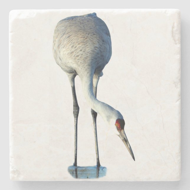 Sandhill Crane Photo Stone Coaster Steinuntersetzer (Vorderseite)