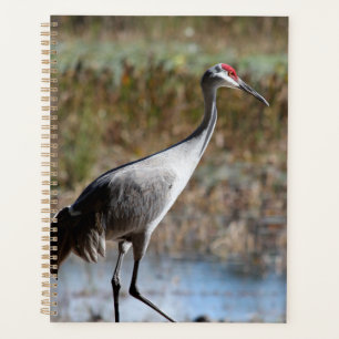 Sandhill Crane Planer