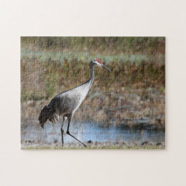 Sandhill Crane Puzzle