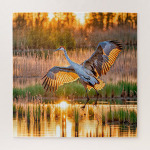 Sandhill Crane Start Puzzle
